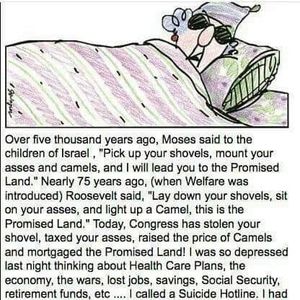 Meet your Posher, Sandy